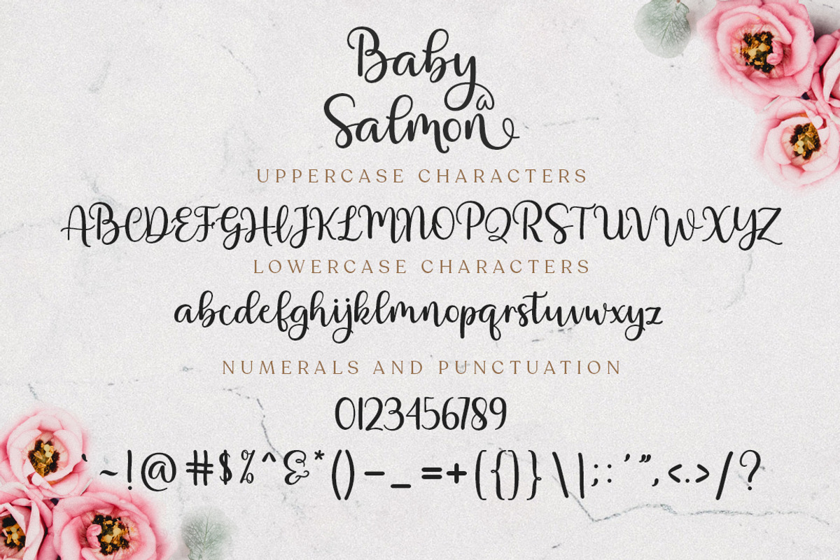 Baby Salmon Script, a Script Font by Zane Studio (Photo 7 of 8)