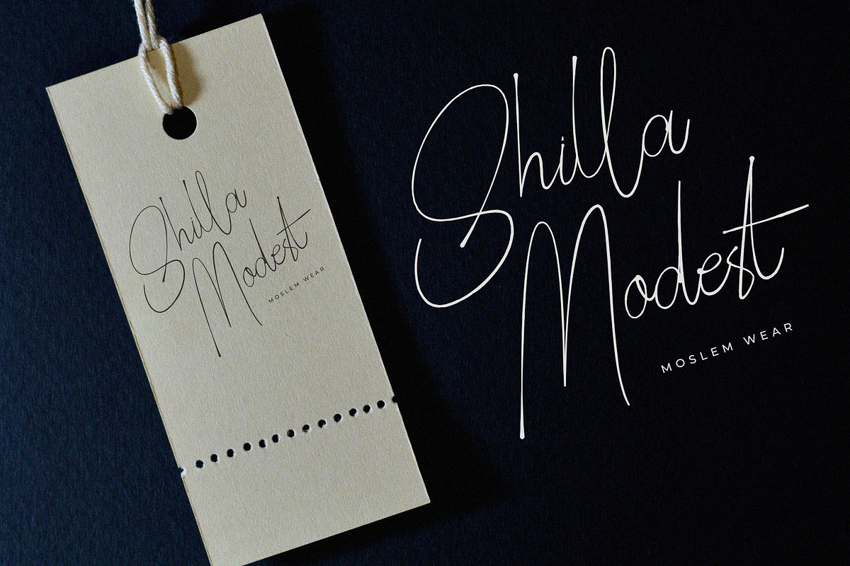 Seillandry Modern Elegant Signature, a Handwritten Font by BrandSemut (Photo 3 of 10)