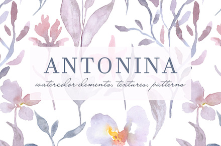 ANTONINA watercolor