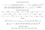 Primark - Organic Calligraphy Script, a Script Font by Cititype (Thumbnail 13 of 13)