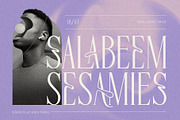 Cherola Typeface, a Serif Font by alit design (Thumbnail 12 of 15)