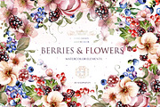 Berries & Flowers Watercolor Element, an Object Graphic by Knopazyzy (Thumbnail 1 of 3)