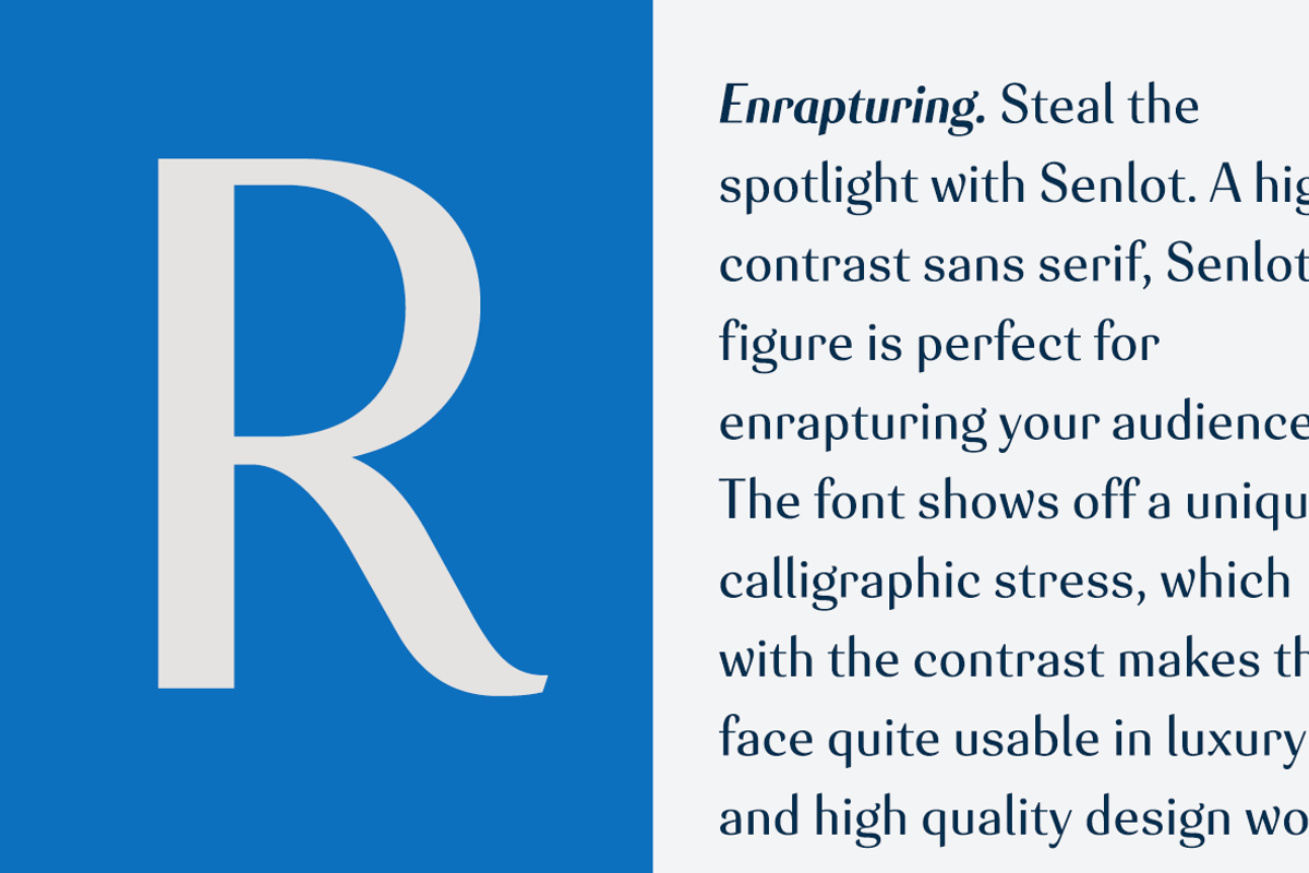 Senlot, a Sans Serif Font by insigne (Photo 4 of 5)