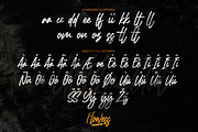 Flowess - Brush Font, a Handwritten Font by Gassstype (Thumbnail 7 of 9)
