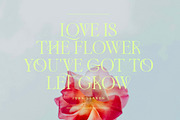 Adelia Mixable Serif, a Serif Font by Sam Parrett (Thumbnail 7 of 11)