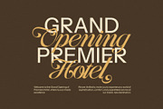 The Disma Calligraphy Script Font, a Script Font by Elegant Font (Thumbnail 6 of 10)