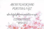 Cherish Modern Script Font Set, a Script Font by TrimStudio (Thumbnail 7 of 11)