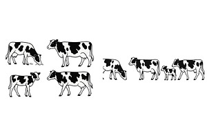 Black and white cows grazing in a, a Nature Photo by ZinetroN