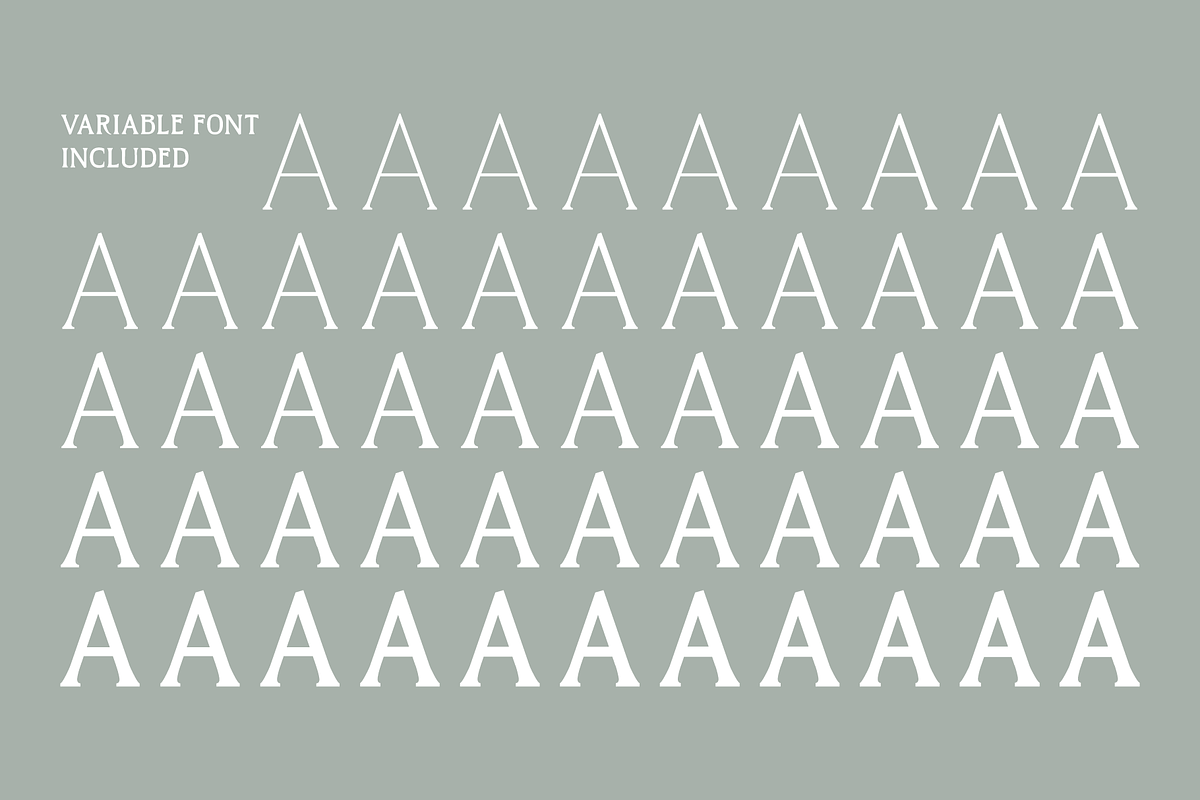 West and Olives (6 fonts + variable), a Font by The Old Type Foundry (Photo 10 of 12)