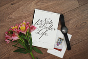 Tashia, a Script Font by PutraCetol Studio (Thumbnail 15 of 16)