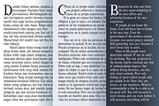 Viktoria Duo, a Serif Font by figuree studio (Thumbnail 10 of 13)