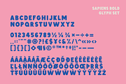 Sapiens Font Family, a Sans Serif Font by Hemphill Co (Thumbnail 12 of 13)