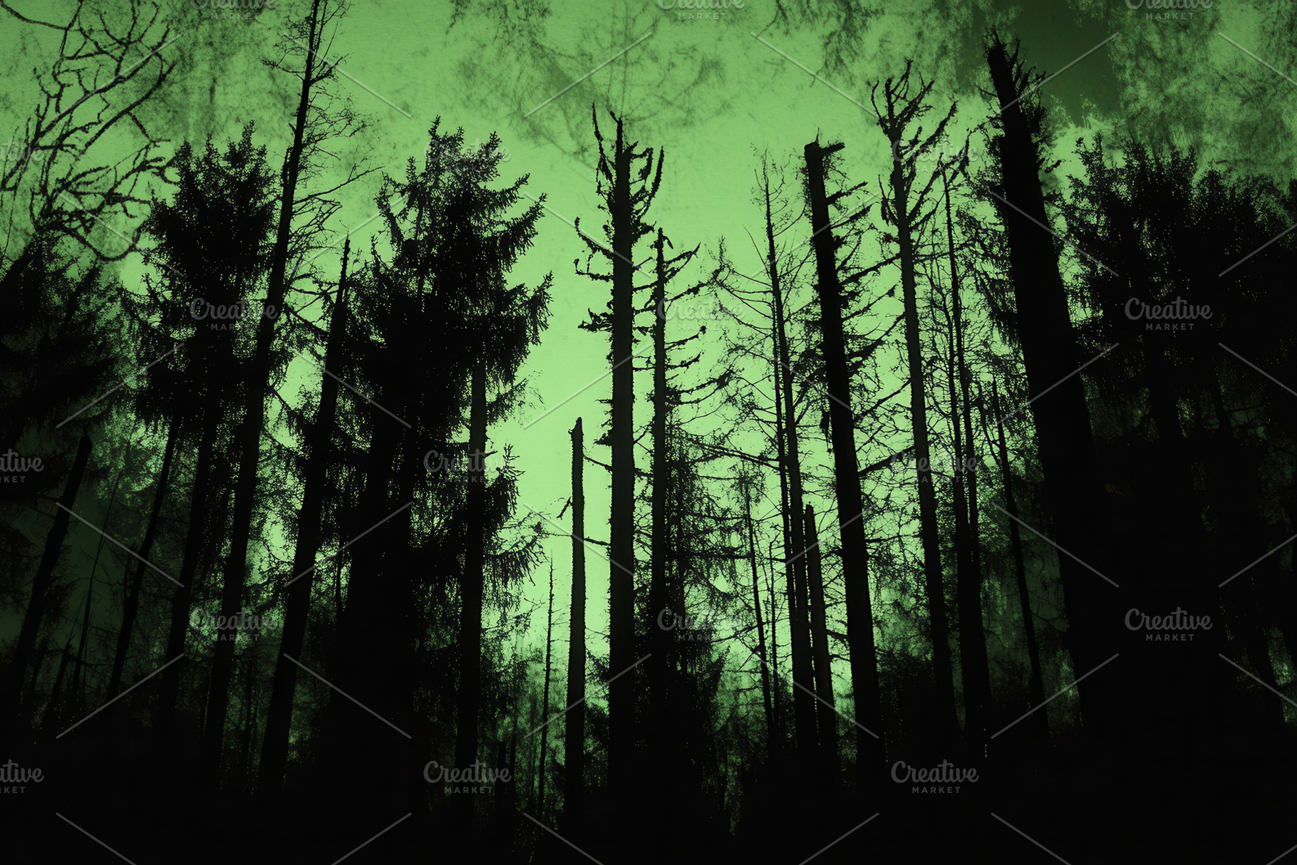 Panoramic view of black forest, a Photo by Pavel_design
