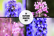 22 stock photos set. Nature, flowers, a Nature Photo by pictures for you (Thumbnail 1 of 6)