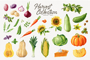 Watercolor harvest collection, a Decorative Illustration by Natalia Fedorova (Thumbnail 2 of 9)