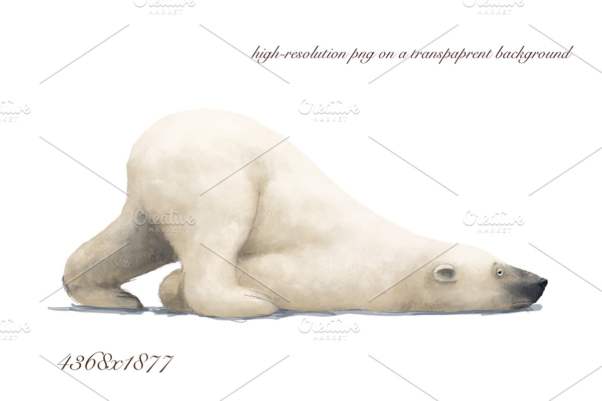 White Polar Bear, an Animal Illustration by sheincar (Photo 2 of 2)