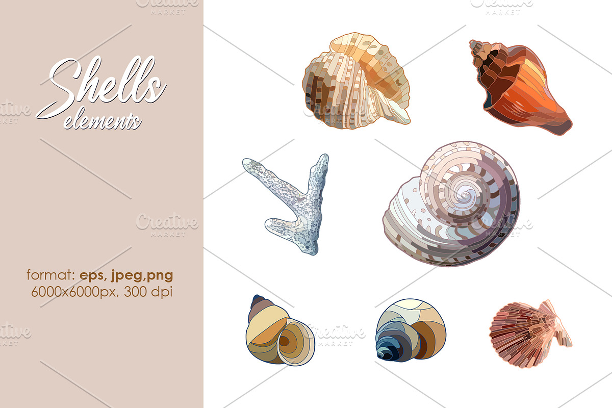 Seashells patterns collection, a Pattern Graphic by Sam2211 (Photo 8 of 13)