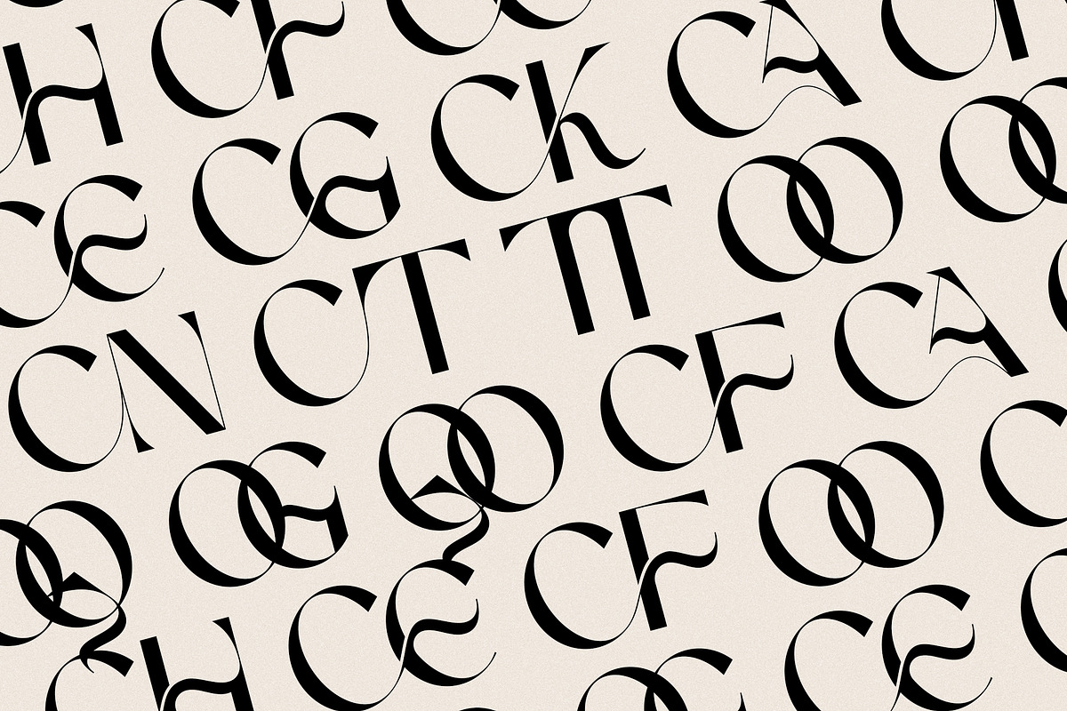 FRENCH CHATEAUX - Chic Display Font, a Sans Serif Font by SilverStag Type Foundry (Photo 22 of 22)