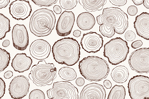 Tree Rings