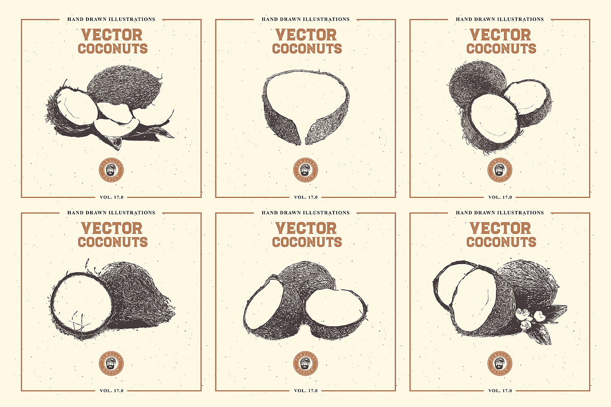 VECTOR COCONUTS HAND DRAWN BUNDLE, a Food Illustration by pawellpi (Photo 3 of 6)