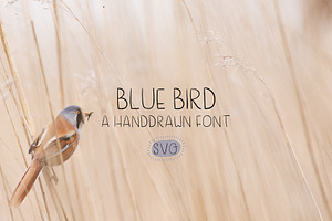 Blue Bird A Handwritten Font