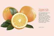 Gavoline-Modern Sans Typeface, a Sans Serif Font by Font Kingdom (Thumbnail 2 of 11)