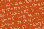 Quintet Font + Bonus Illustrations, a Sans Serif Font by Lauren Ashpole (Thumbnail 3 of 5)