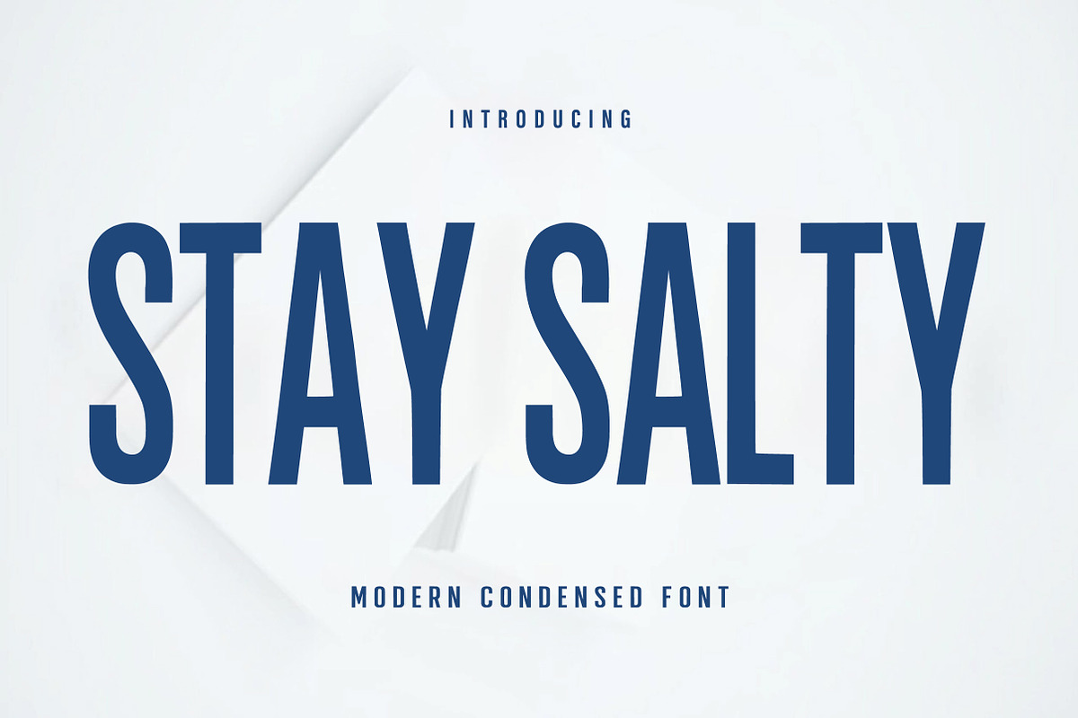 Stay Salty, a Serif Font by Aura Typeface (Photo 1 of 8)