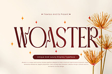 Woaster - Luxury Display Font
