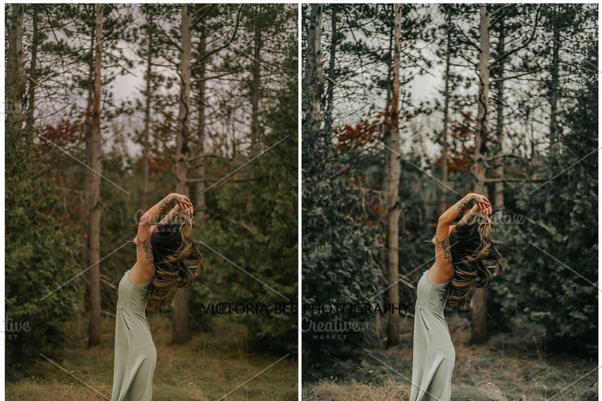 30  MOODY AUTUMN PRESETS, a Preset Add-On by Victoria Bee Presets (Photo 9 of 14)