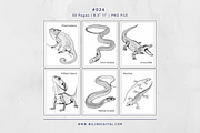 30 Reptiles Animals Coloring Pages, an Illustration by Wilin Digital (Thumbnail 3 of 3)