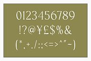Academia - Modern Stylish, a Serif Font by RockboyStd (Thumbnail 9 of 12)