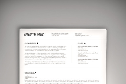 The Professional CV (PSD + WORD DOC)