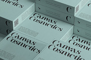 Raving Display Editorial Serif Font, a Serif Font by SilverStag Type Foundry (Thumbnail 5 of 30)