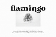 Rolland Ligature Serif Font Typeface, a Serif Font by Graphicxell (Thumbnail 5 of 10)