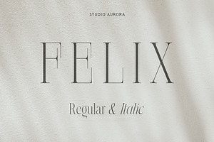 Felix - Condensed Display Serif Font