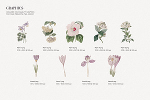 Pastel Botanical Pattern And Plants