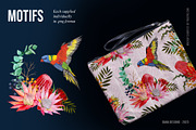 AUSTRALIA FAIR Elements, a Decorative Illustration by Dana Designs (Thumbnail 10 of 14)