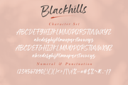 Blackhills - Brush Font, a Script Font by Megi Satyo Widodo (Thumbnail 15 of 15)