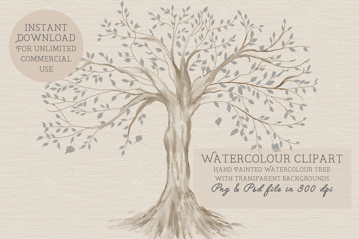 Family tree clipart, trees clipart,, an Illustration by CommercialCliparts (Photo 1 of 3)