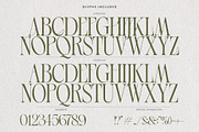 Grand Palais - Elegant Logo Font, a Serif Font by AndrewPixelType (Thumbnail 8 of 9)