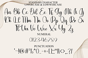 Artistic Script, a Handwritten Font by FreshTypeINK (Thumbnail 5 of 8)