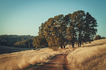 Cronan Ranch Trail 2 Featuring Hills California And Norcal preview 5
