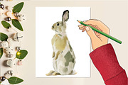 Bunny and Blooms Watercolor Clipart, an Illustration by DreamCafeArt (Thumbnail 5 of 6)