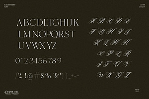 Louis Bright Minimal Serif Font