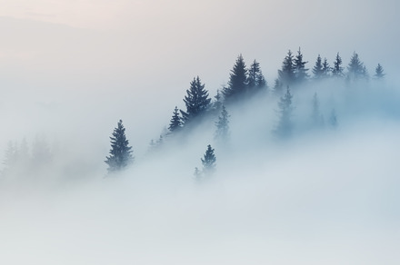 Mount smoke web featuring ukraine, carpathian, and dzembronya