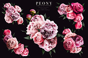Peony Floral Clip Art, an Object Graphic by Eclectic Anthology (Thumbnail 12 of 17)