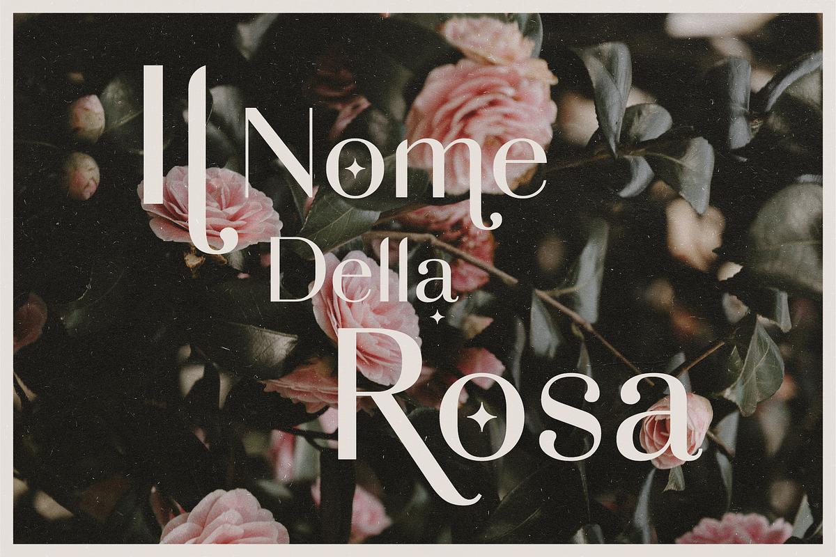 Adagio Decorative Ligature Font Duo preview 4