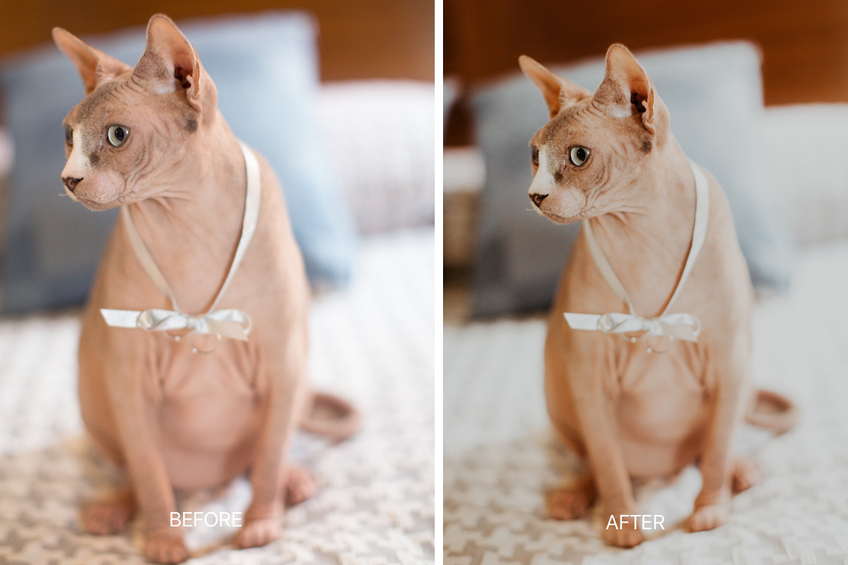 Desktop Lightroom Presets POKEBERRY preview 7