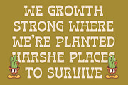 Bring Horse Western Slab Serif, a Slab Serif Font by timelesstype.co (Thumbnail 6 of 20)